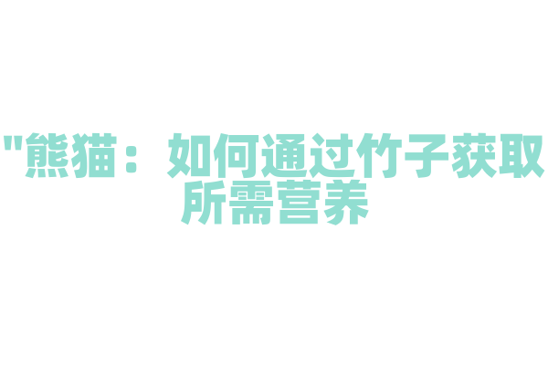 "熊猫：如何通过竹子获取所需营养？"